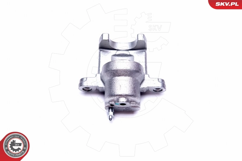 Brake Caliper 45SKV613