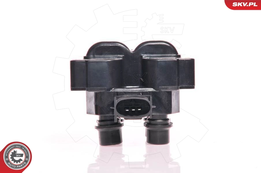 Ignition Coil 03SKV012
