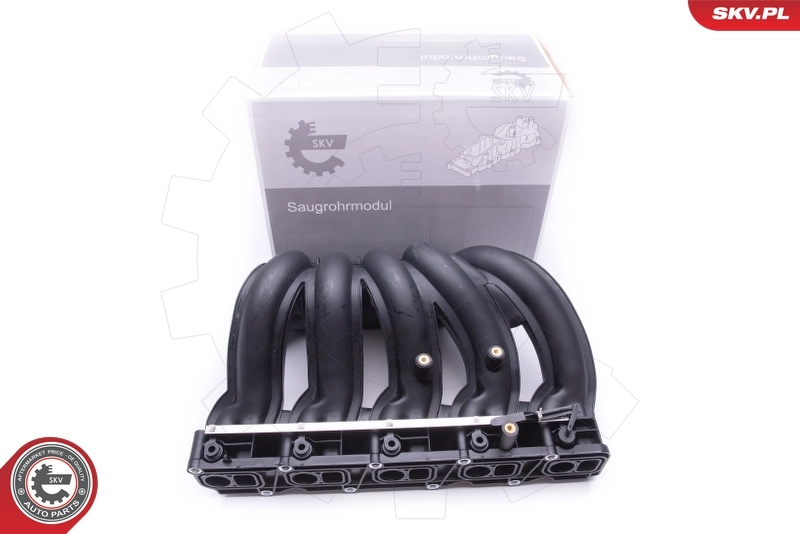 Intake Manifold Module 49SKV012