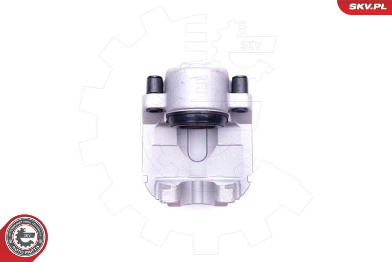 Brake Caliper 44SKV191