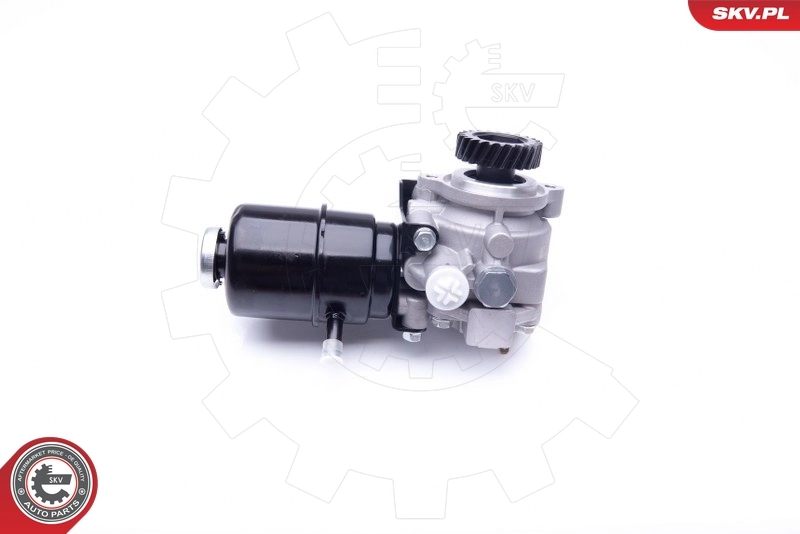 Hydraulic Pump, steering 10SKV274