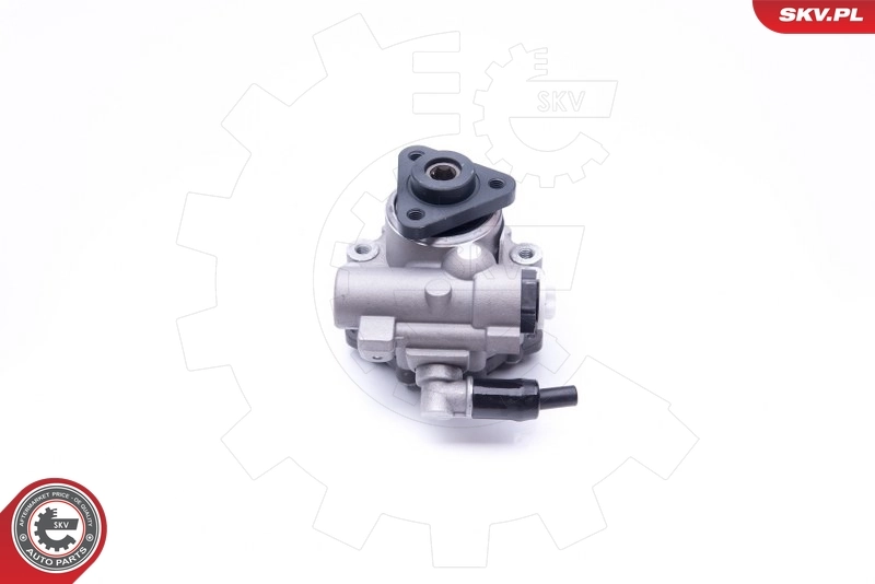 Hydraulic Pump, steering 10SKV242