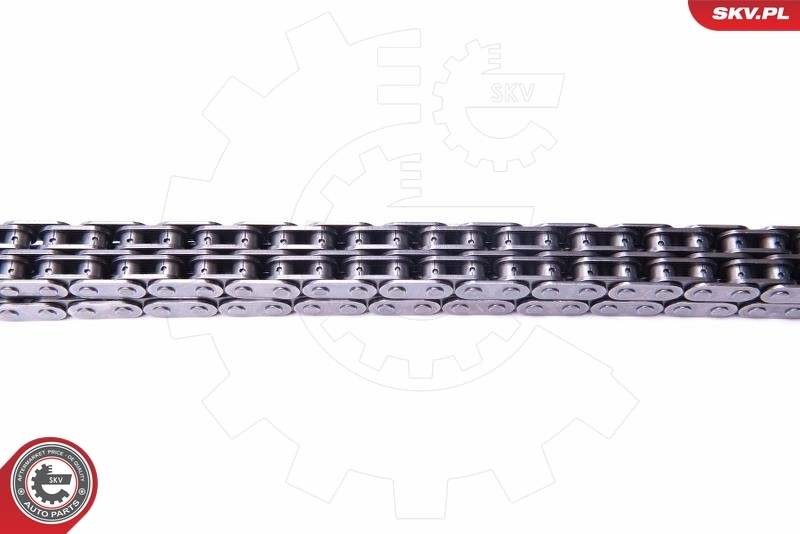 Timing Chain Kit 21SKV143