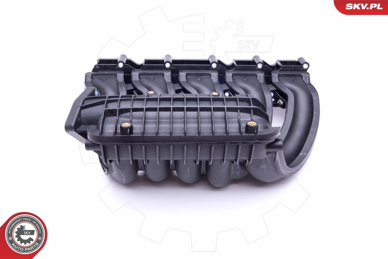 Intake Manifold Module 49SKV012