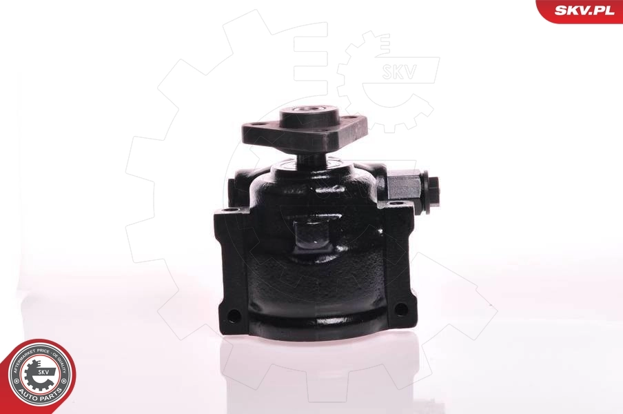 Hydraulic Pump, steering 10SKV179