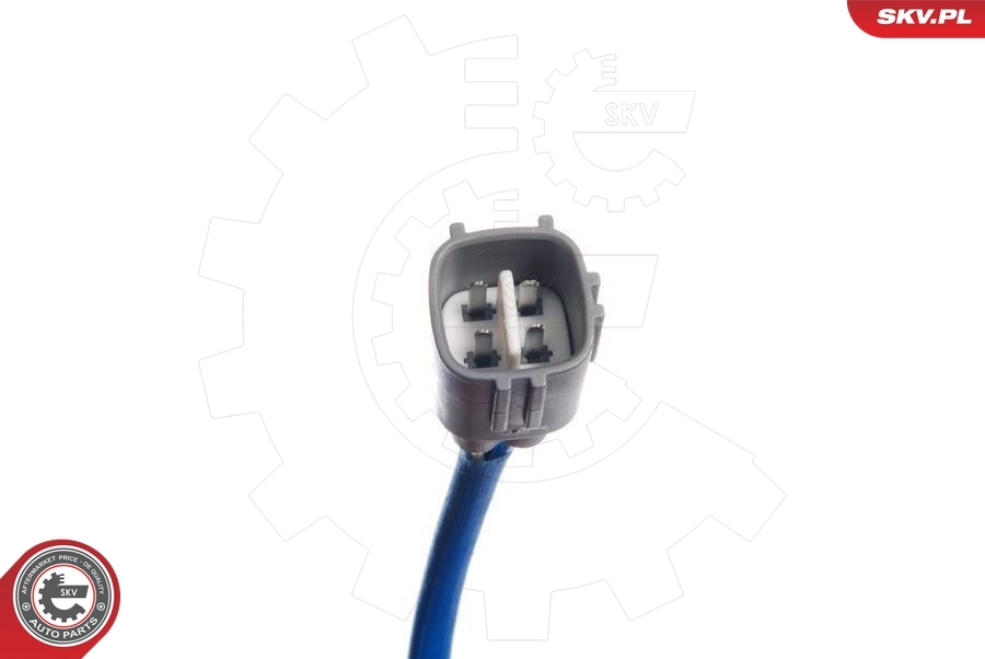 Oxygen Sensor 09SKV011