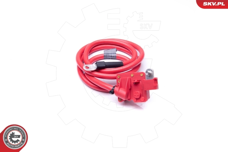 ESEN SKV 96SKV308 Battery Adapter