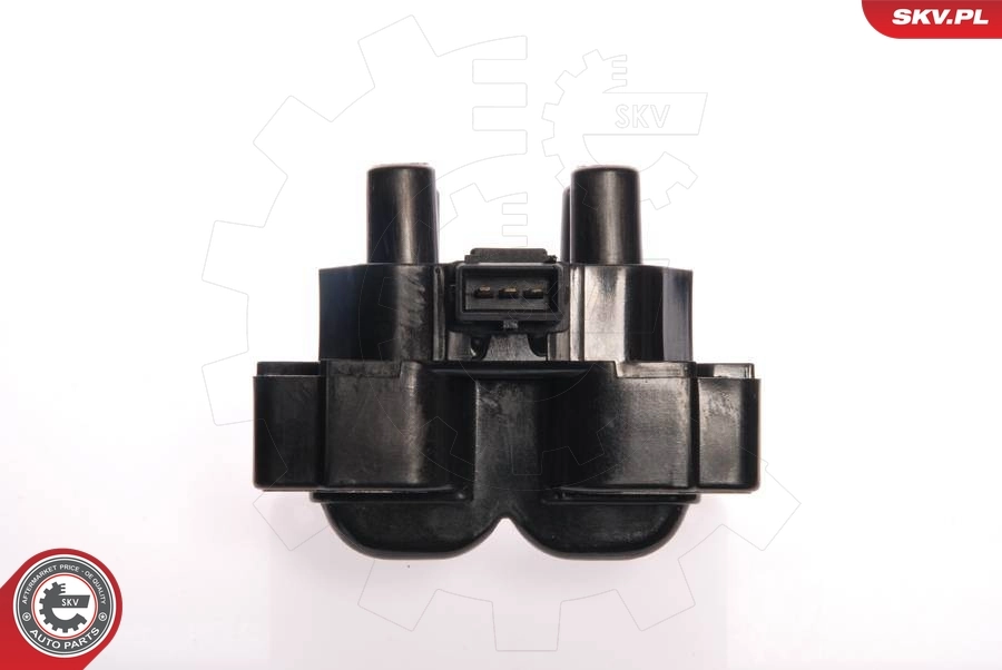 Ignition Coil 03SKV010