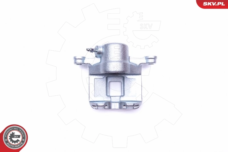 Brake Caliper 42SKV774