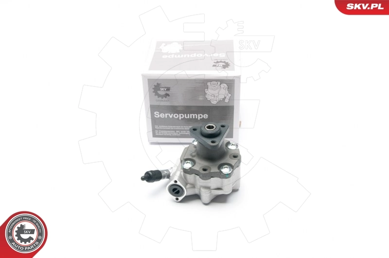 Hydraulic Pump, steering 10SKV187