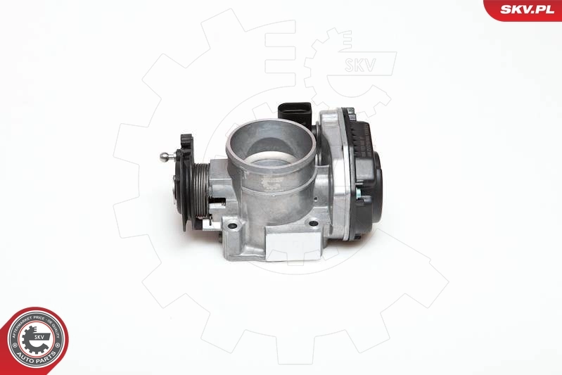 Throttle Body 12SKV007
