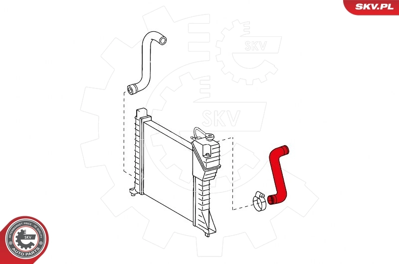 Radiator Hose 24SKV343