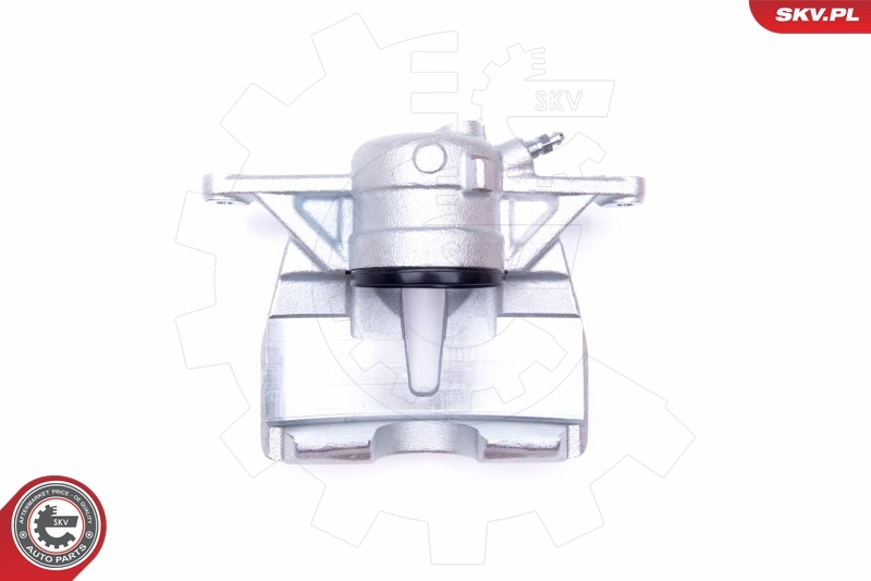 Brake Caliper 44SKV302
