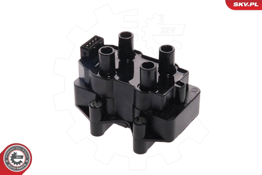 Ignition Coil 03SKV036