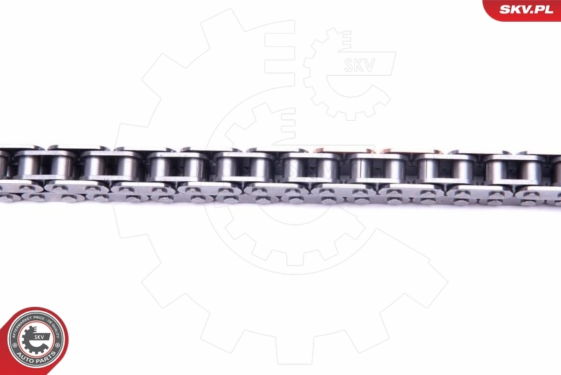 ESEN SKV 21SKV205 Timing Chain Kit