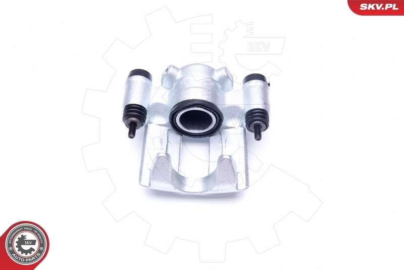 Brake Caliper 42SKV893