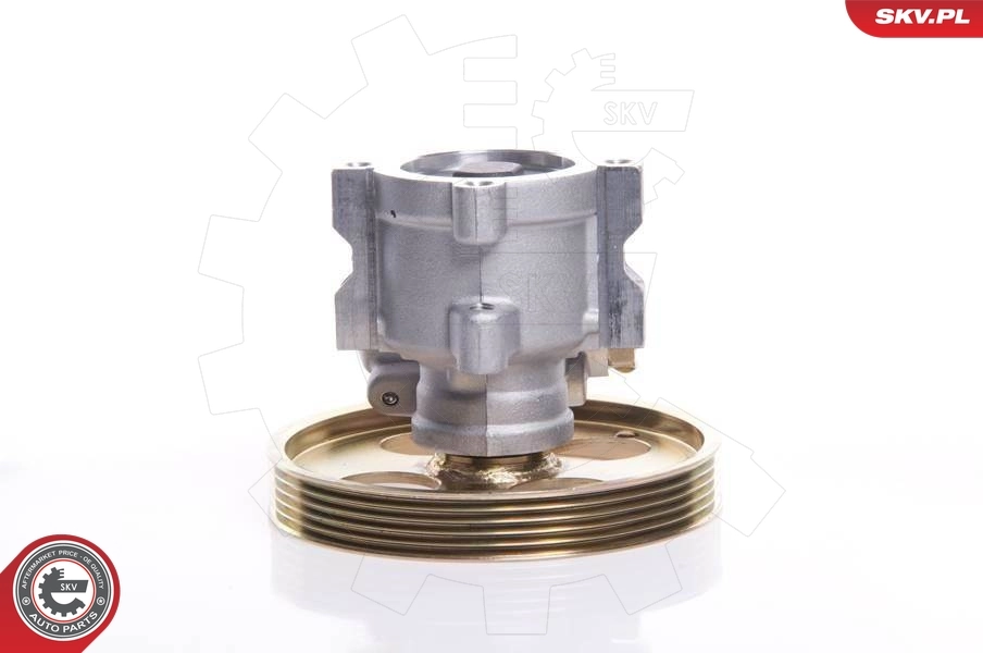 Hydraulic Pump, steering 10SKV119