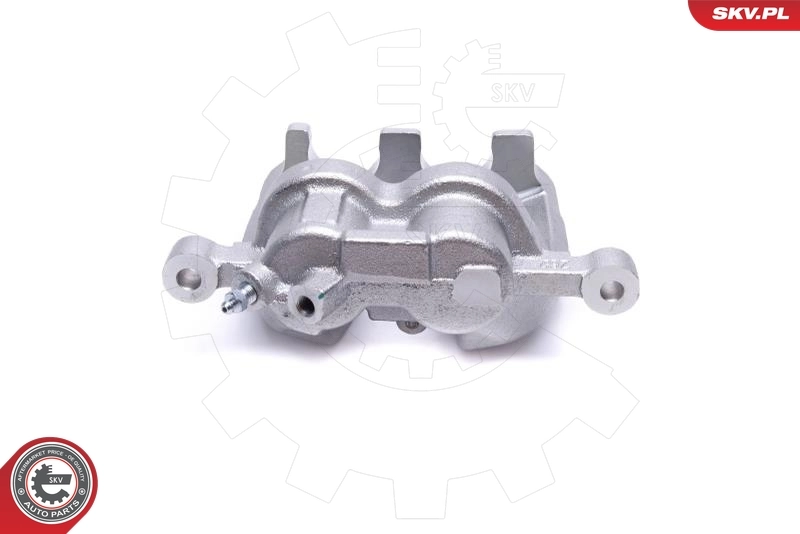 Brake Caliper 55SKV321
