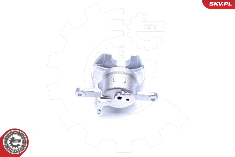 Brake Caliper 44SKV322