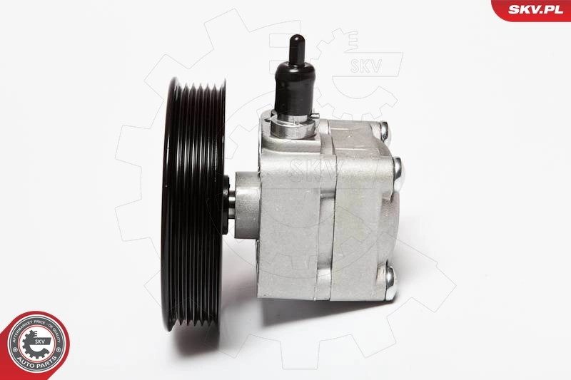 Hydraulic Pump, steering 10SKV010