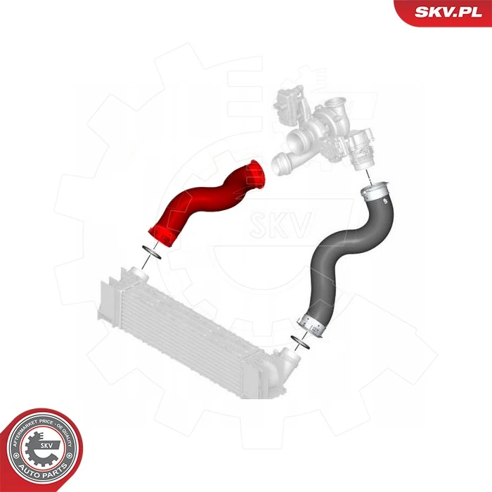Charge Air Hose 43SKV430