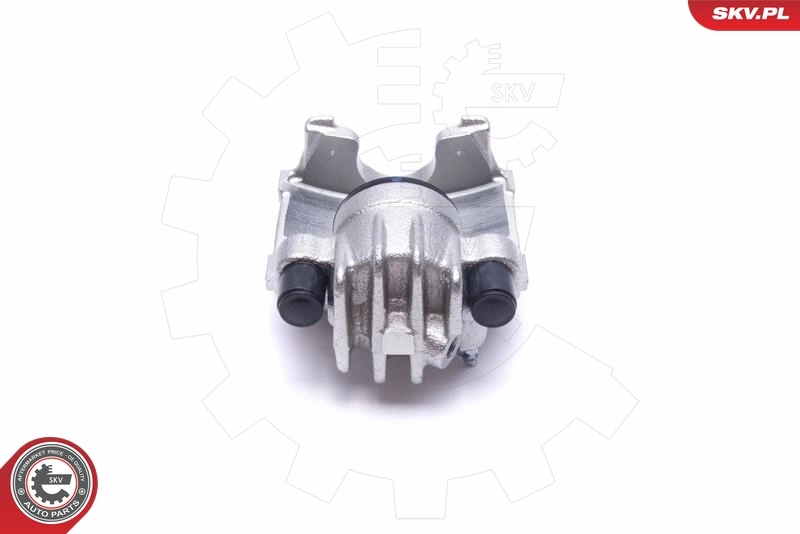 Brake Caliper 55SKV761