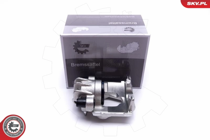 Brake Caliper 55SKV761