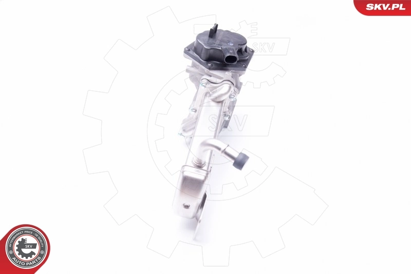 EGR Valve 14SKV151