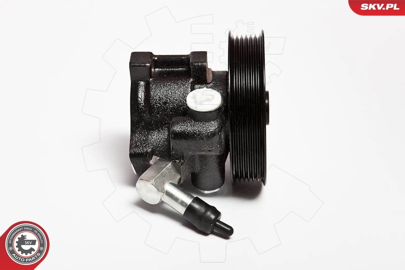 Hydraulic Pump, steering 10SKV066