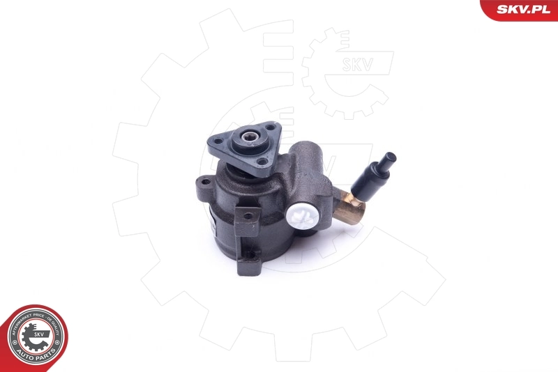 Hydraulic Pump, steering 10SKV253