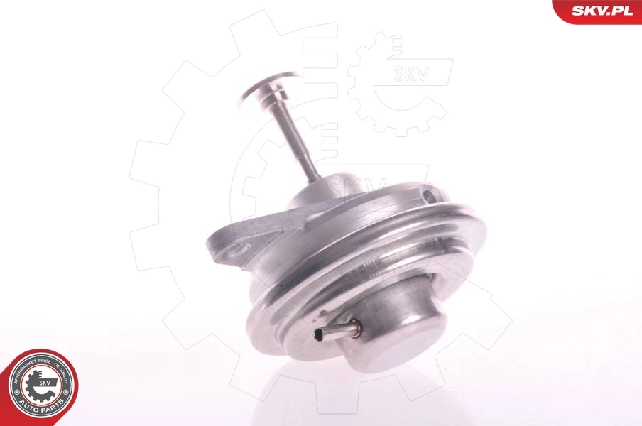 EGR Valve 14SKV022