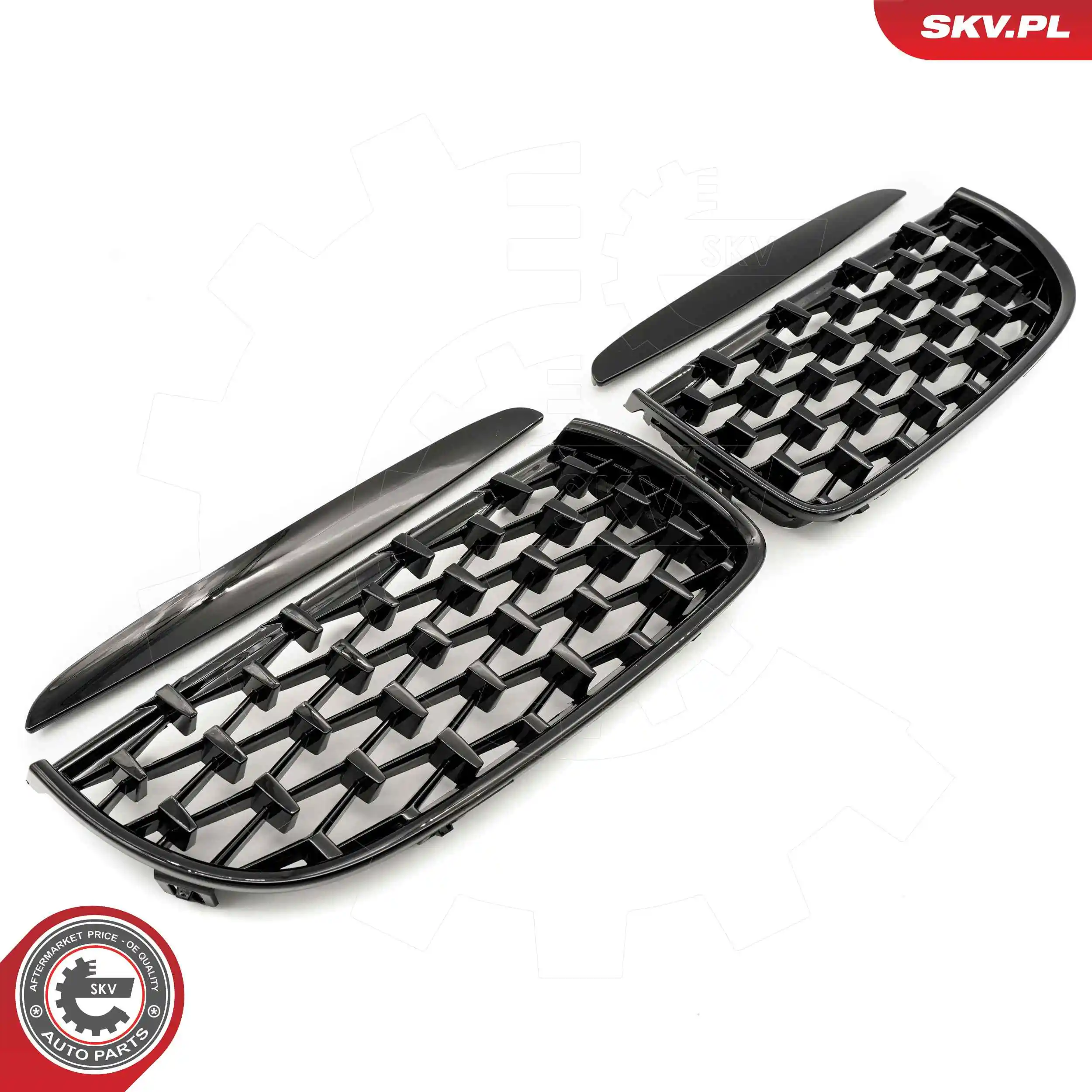 ESEN SKV 66SKV093 Radiator Grille