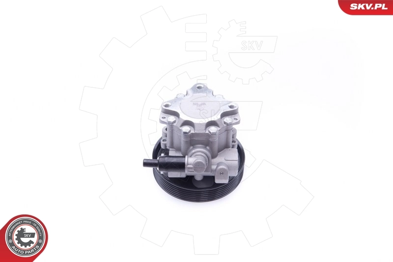 Hydraulic Pump, steering 10SKV240