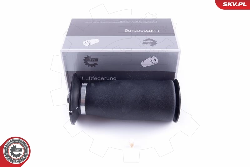 Air Spring, suspension 58SKV021