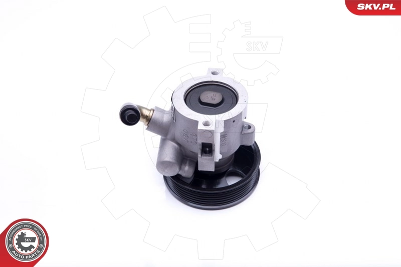 Hydraulic Pump, steering 10SKV279