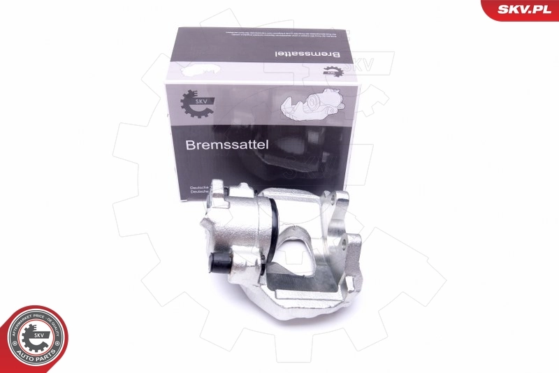 Brake Caliper 42SKV272