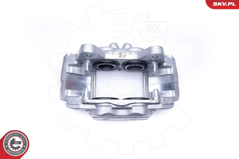 Brake Caliper 45SKV201