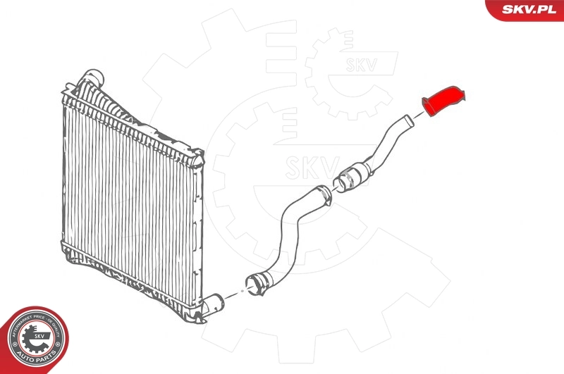 Charge Air Hose 43SKV292