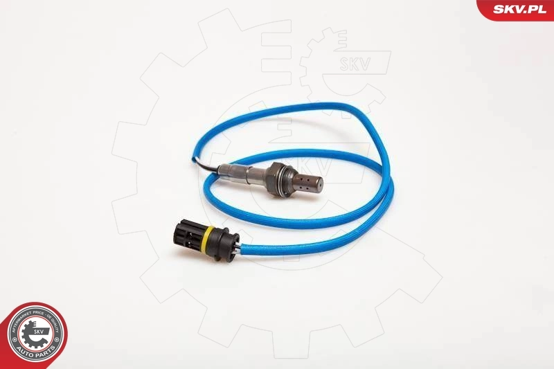 Oxygen Sensor 09SKV077