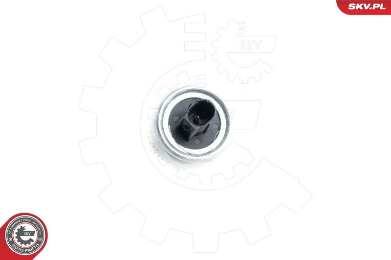 Knock Sensor 17SKV360