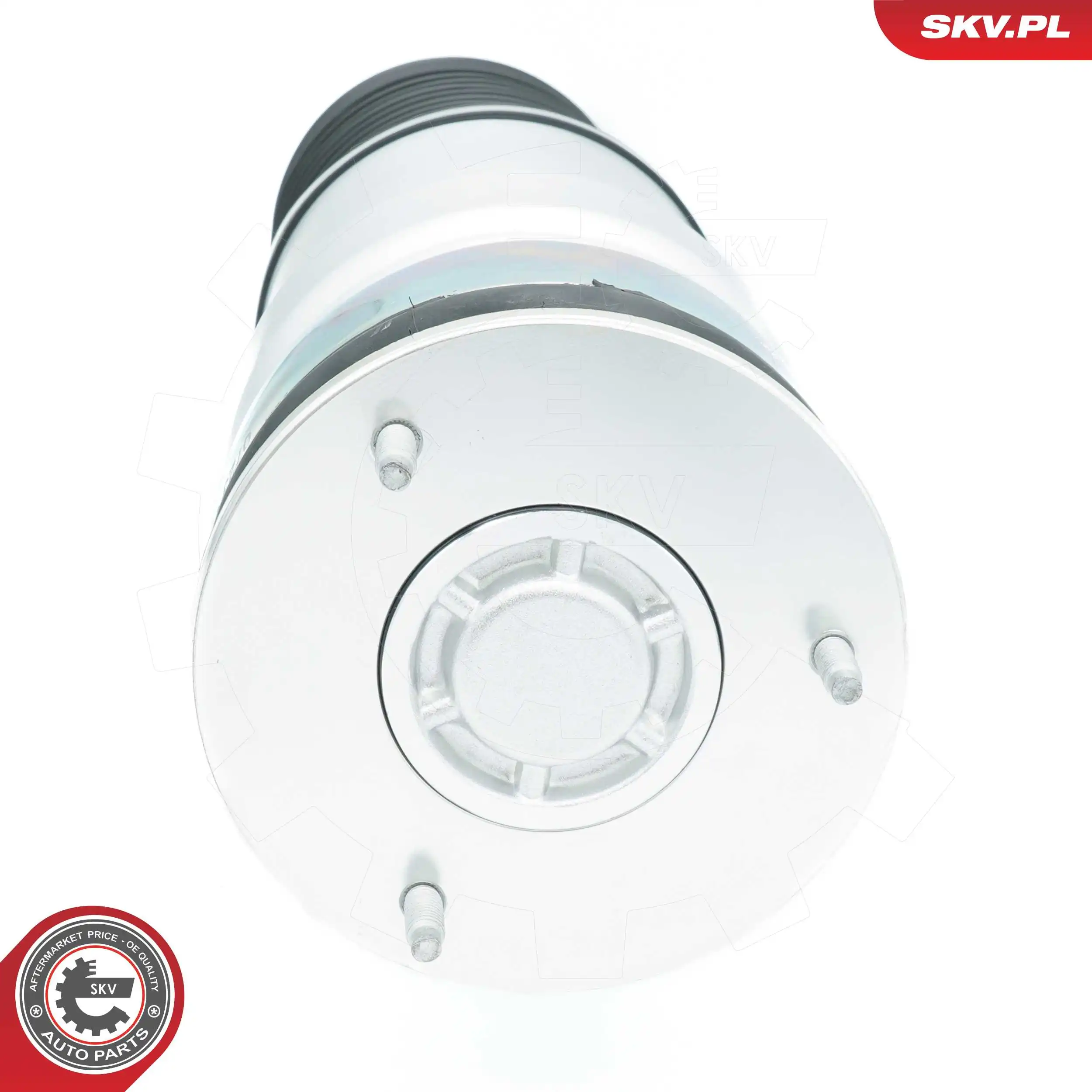 Air Spring, suspension 58SKV078