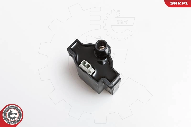 Ignition Coil 03SKV094