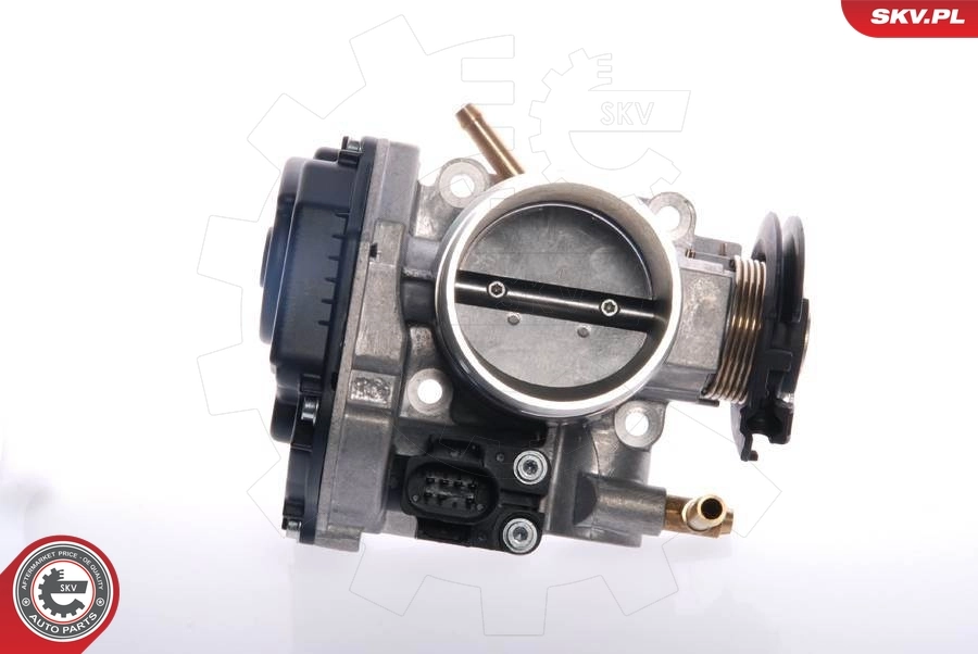 Throttle Body 12SKV020