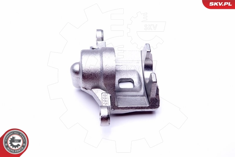 Brake Caliper 45SKV691