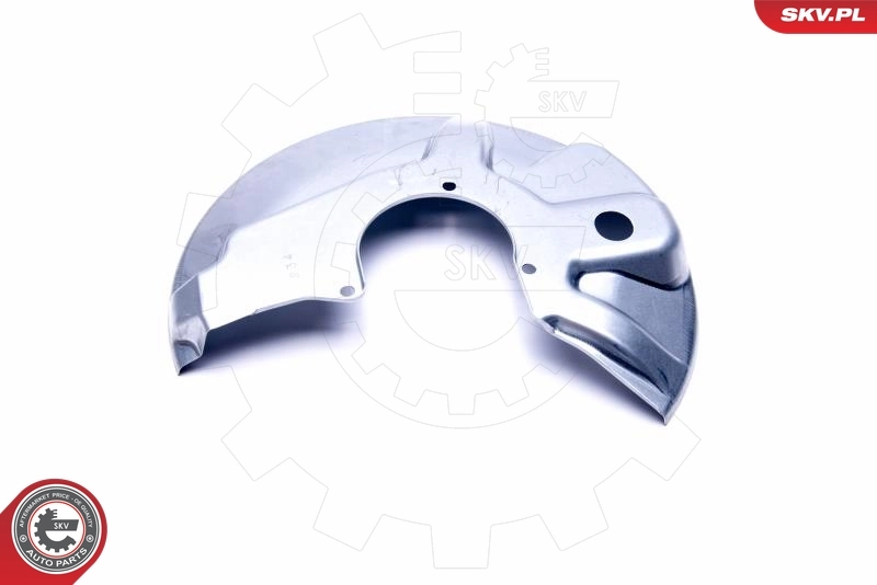 ESEN SKV 57SKV169 Splash Guard, brake disc