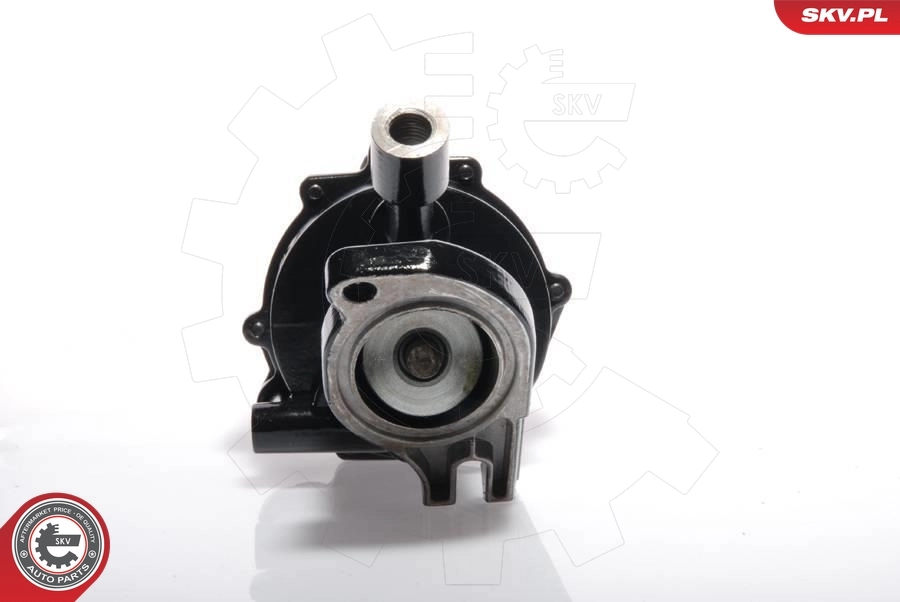 Vacuum Pump, braking system 18SKV003