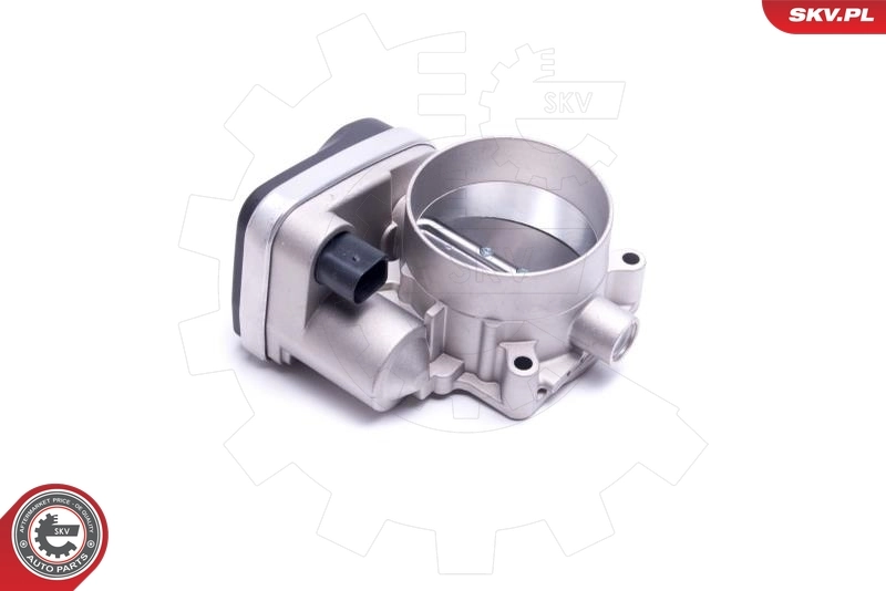 ESEN SKV 12SKV108 Throttle Body