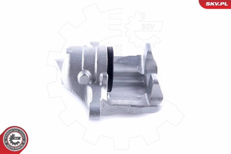 Brake Caliper 55SKV142