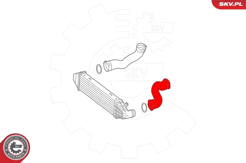 Charge Air Hose 43SKV420