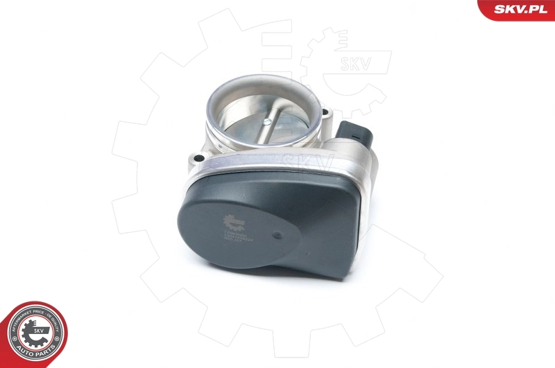 Throttle Body 12SKV050